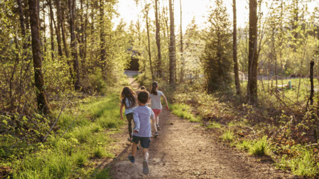 Elkészült a SIXAGON első projektportfóliója