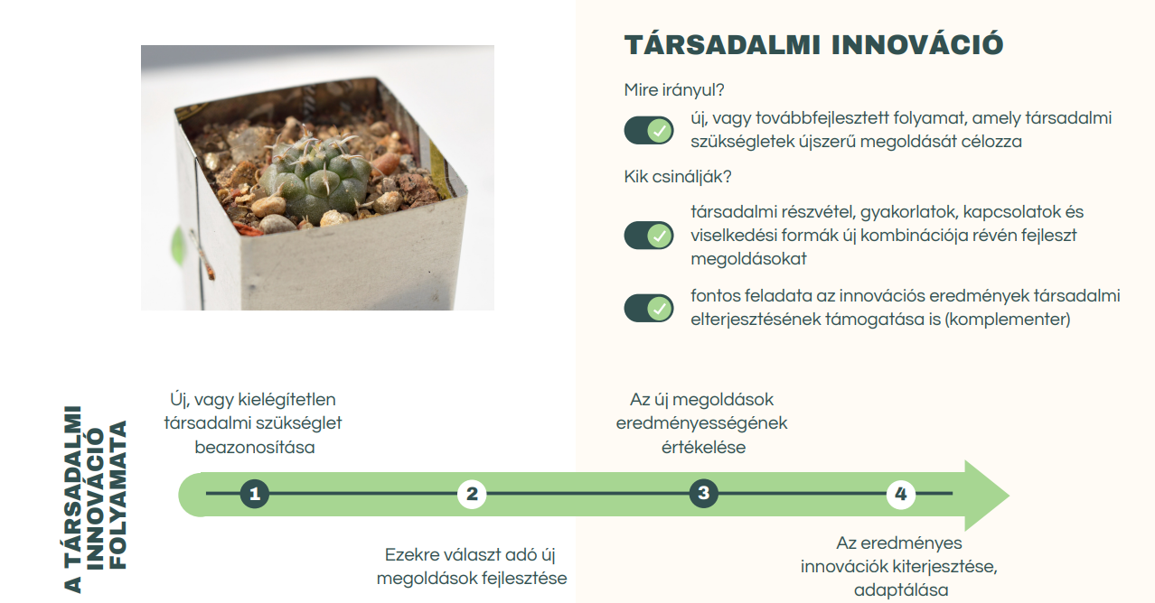társadalmi_innováció